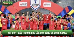 AFF Cup - Đấu Trường Rực Lửa Của Bóng Đá Đông Nam Á