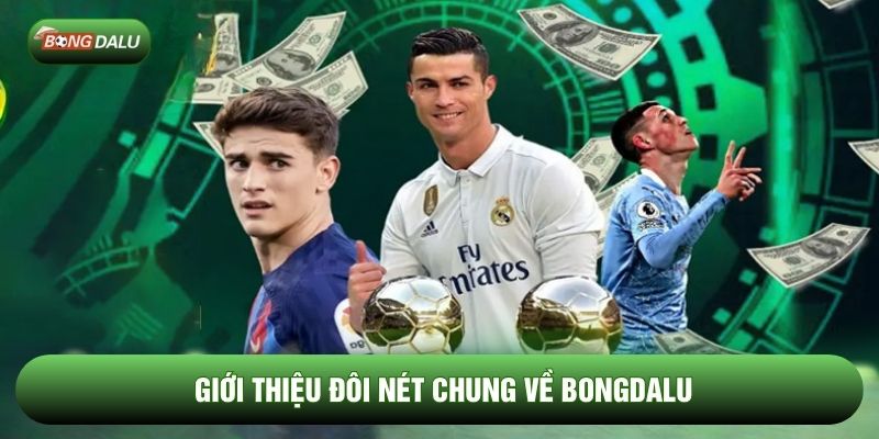 Giới thiệu đôi nét chung về Bongdalu