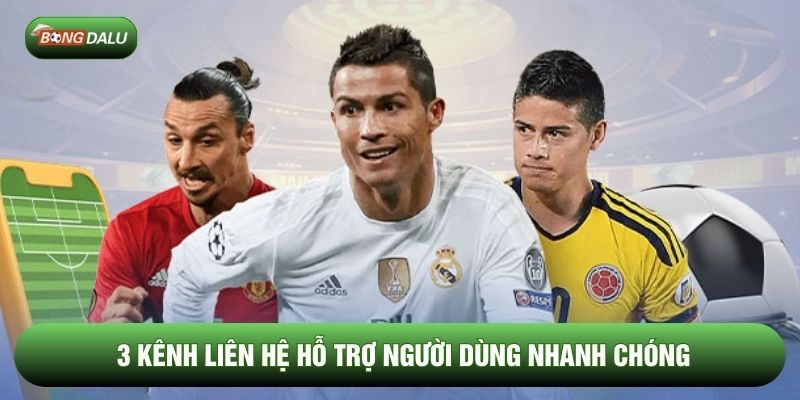 3 kênh liên hệ hỗ trợ người dùng nhanh chóng
