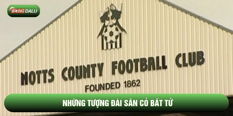 Những tượng đài sân cỏ bất tử