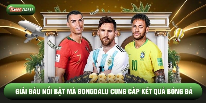 Giải đấu nổi bật mà Bongdalu cung cấp kết quả bóng đá