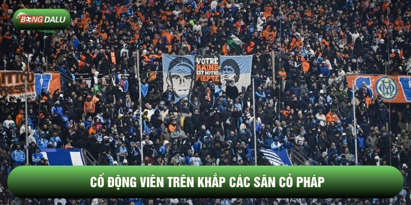 Cổ động viên trên khắp các sân cỏ Pháp