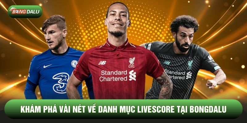 Khám phá vài nét về danh mục livescore tại Bongdalu