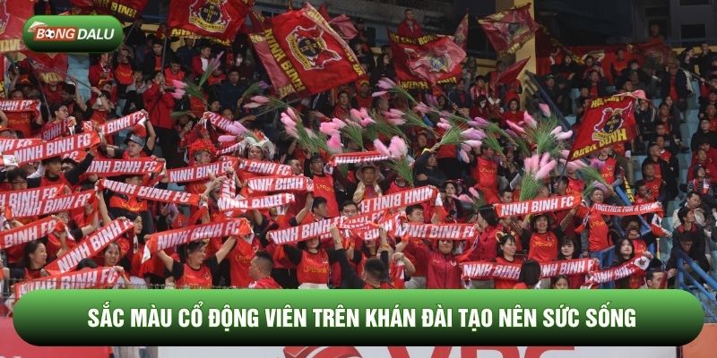 Sắc màu cổ động viên trên khán đài tạo nên sức sống