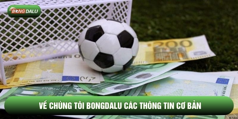Về chúng tôi Bongdalu các thông tin cơ bản